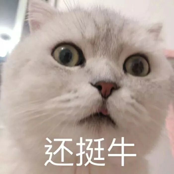 还挺牛