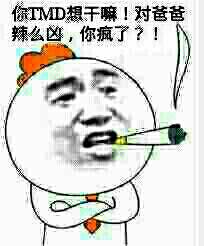 你TMD想干嘛！对爸爸辣么凶，你疯了？！