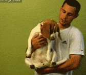 主人喜欢叫我装死，配合一下