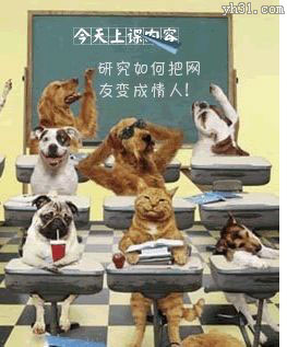 动物们上课的场景