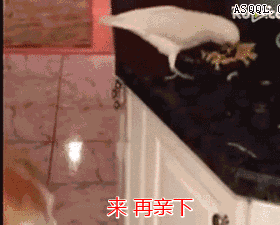 用嘴巴喂东西给你吃