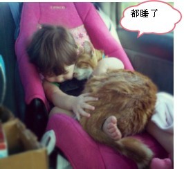 小孩抱着小猫一起睡觉