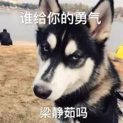 谁给你的勇气梁静茹吗