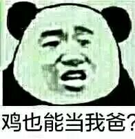 鸡也能当我爸？