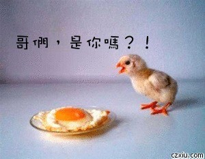 哥们，你怎么变成这样啦