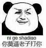 你莫逼老子打你（ni ge shadiao）