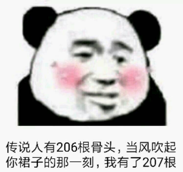 传说人有206根骨头，当风吹起你裙子的那一刻，我有了207根