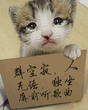 孤独可怜的猫咪