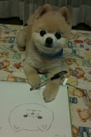 可爱的小狗自画像