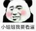 小姐姐我要看逼