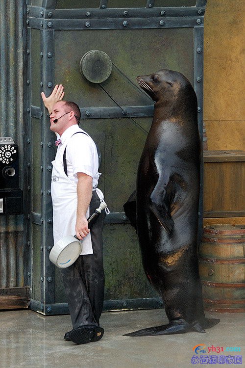 我也会站立，做相同的动作