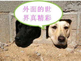 好想出去，外面的世界真精彩啊