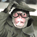 抽烟又戴帽子的酷猴