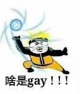 啥是gay！！！