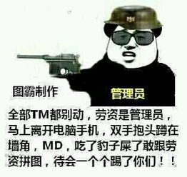 全部TM都别动