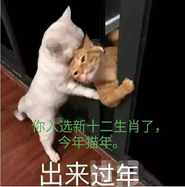 出来过完年