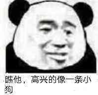 瞧他，高兴的像一条小狗