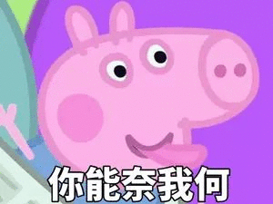 你能奈我何