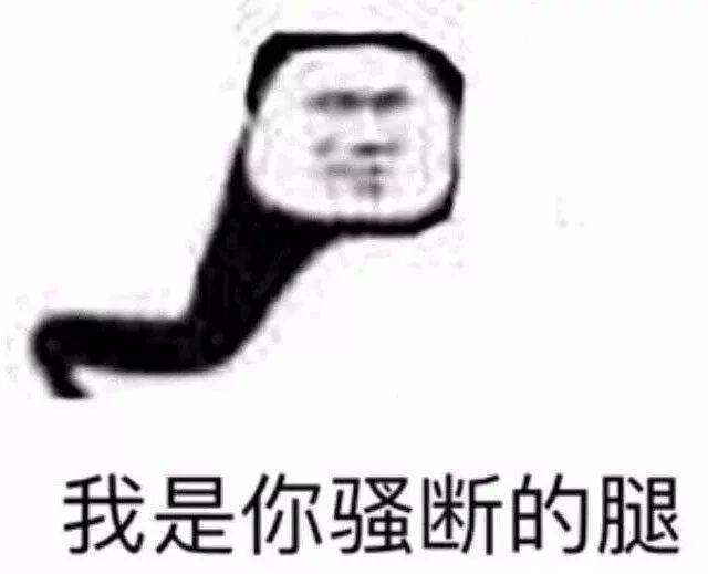 我是你骚断的腿