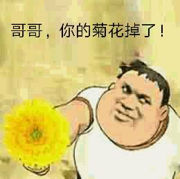 哥哥，你的菊花掉了