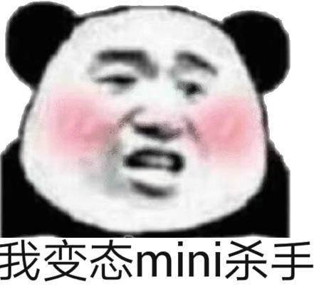 我变态mini杀手