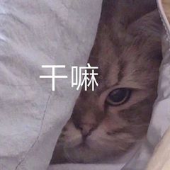 干嘛