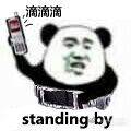 滴滴滴，standing by（熊猫人）