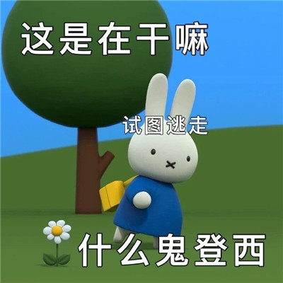 最新版的很萌很可爱米菲兔表情包 阴阳怪气的米菲兔文字表情大全