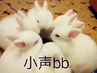 小声bb