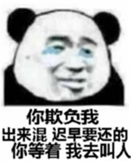 你欺负我，出来混迟早要还的你等着我去叫大