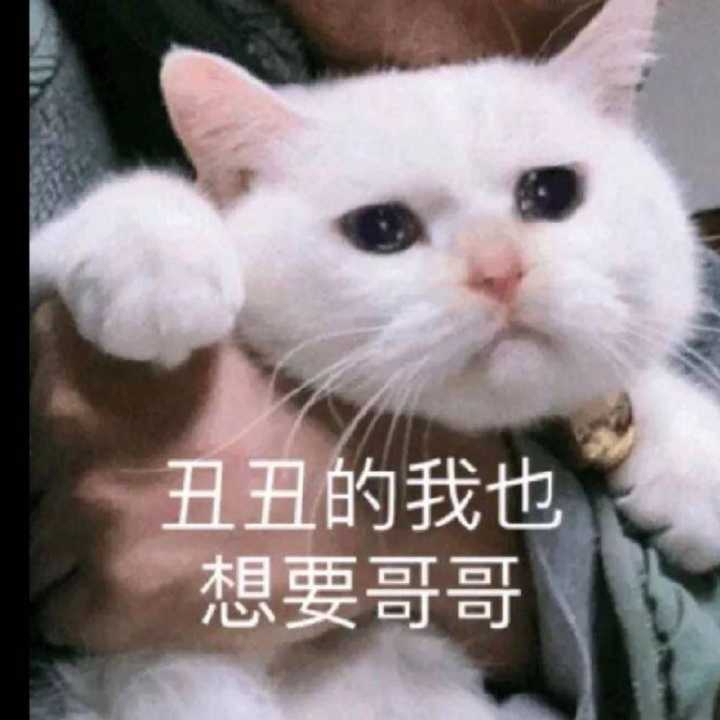 丑丑的我，也想要哥哥