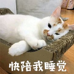 快陪我睡觉