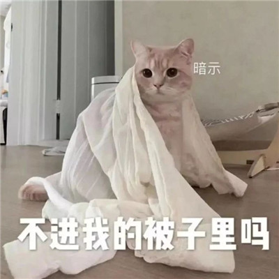 天冷了发给你对象的拼床表情包 可以一起睡觉吗我怕冷