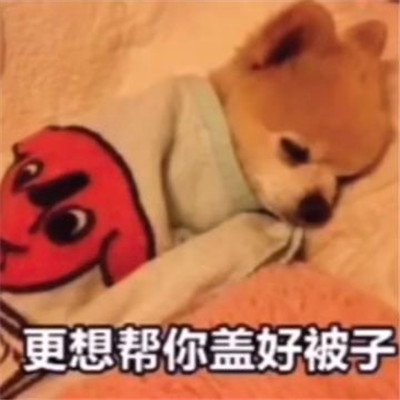 天冷了发给你对象的拼床表情包 可以一起睡觉吗我怕冷