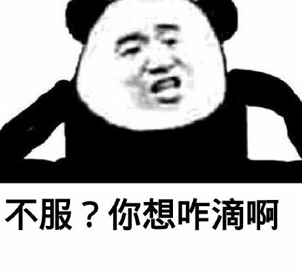 不服？你想咋滴啊