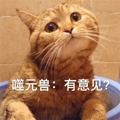 惊奇队长噬元兽表情包带字 惊奇队长橘猫噬元兽表情包图片无水印