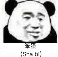 笨蛋（sha bi）