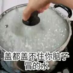 盖都盖不住你脑子冒的水