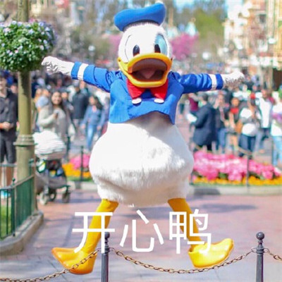 唐老鸭表情包大全超可爱带字高清 今天不想加班鸭