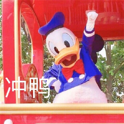 唐老鸭表情包大全超可爱带字高清 今天不想加班鸭