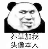 养草加我，头像本人