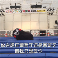 世界杯版土味情话表情包 不要抱怨德国了抱我