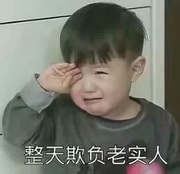 整天欺负老实人表情包 欺负老实人图片大全