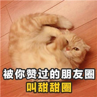 土味情话猫咪表情包带字 女孩我十拿九稳就差你一吻