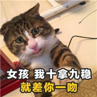 土味情话猫咪表情包带字 女孩我十拿九稳就差你一吻