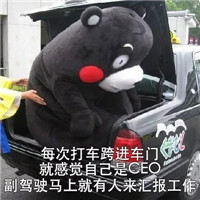 戏精表情包无水印熊本熊 每次听到很嗨的歌走路都感觉自己是超模