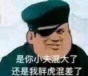 是你小夫混大了，还是我胖虎混差了