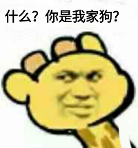 什么？你是我家狗？