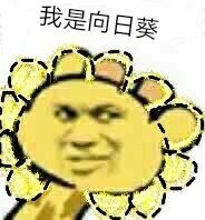 我是向日葵