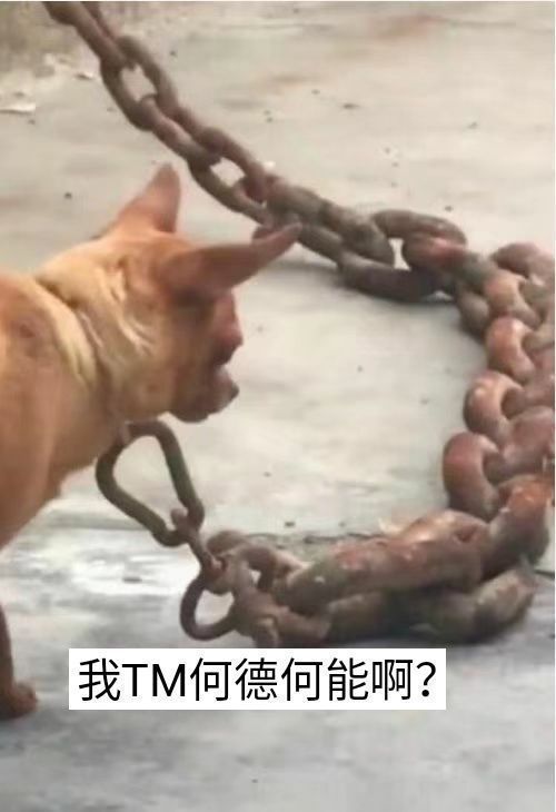 我TM何德何能啊？